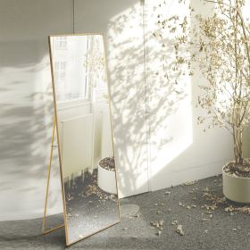 Tempered 59x16 Tall Full-Length Mirror With Stand, Gold Wall Mounting